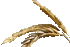 wheat icon wheat icon
